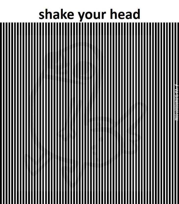 Never+ceases+to+amaze+me.