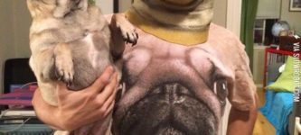 Pugception.