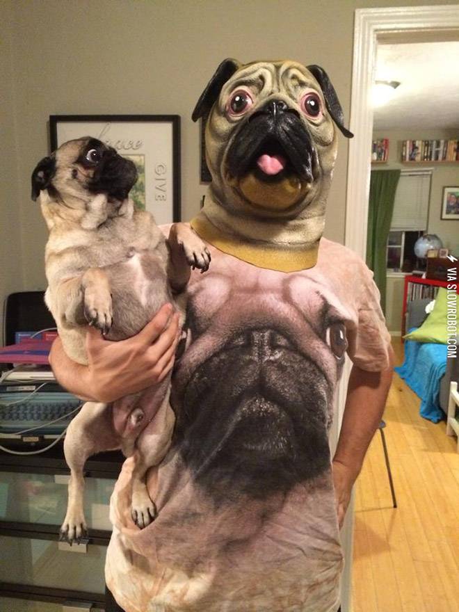 Pugception.