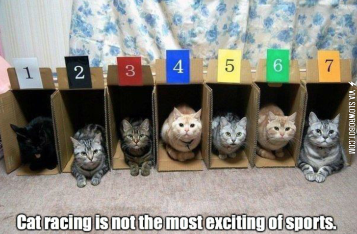 They+sure+are+slow+out+of+the+box%26%238230%3B