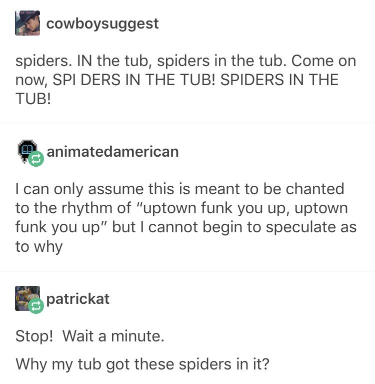 spiders+in+the+tub