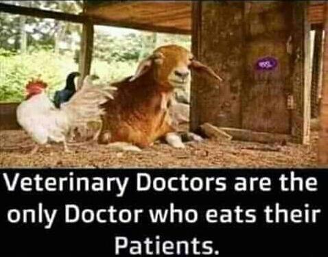 Doctor+doctor%2C+give+me+the+news%26%238230%3B