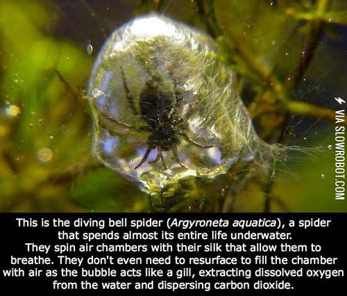 Terrifying%2C+but+interesting.