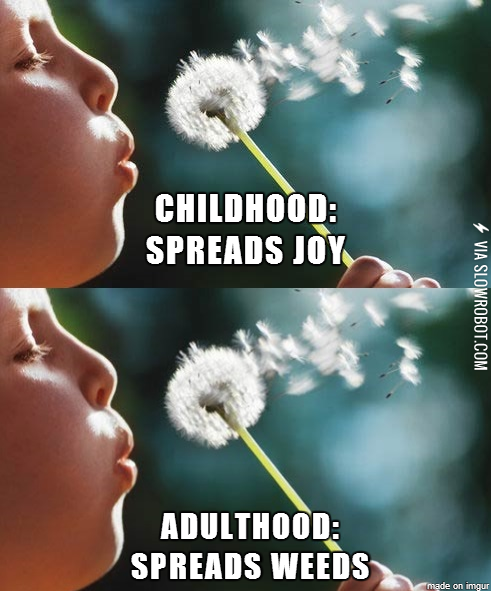 Difference+between+childhood+and+adulthood