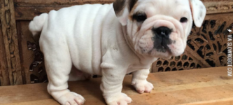 Tiniest+wrinkles