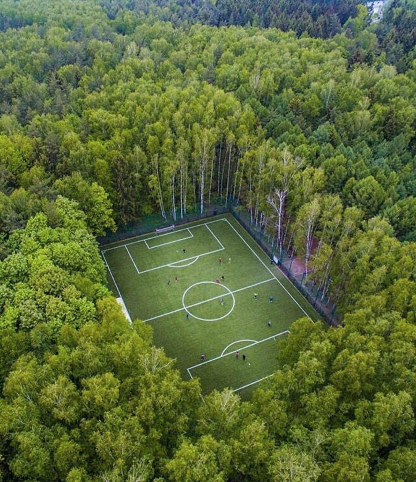 Footy+in+the+forrest.