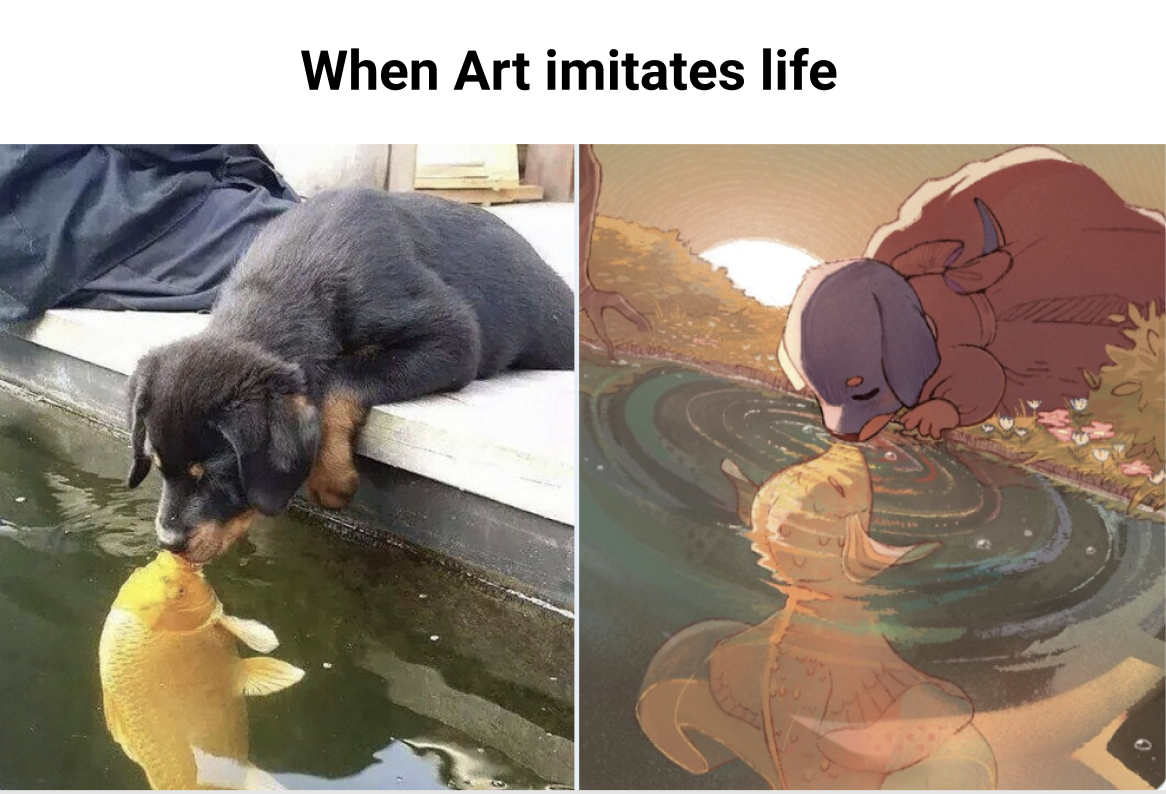 When+fish+meets+doge.