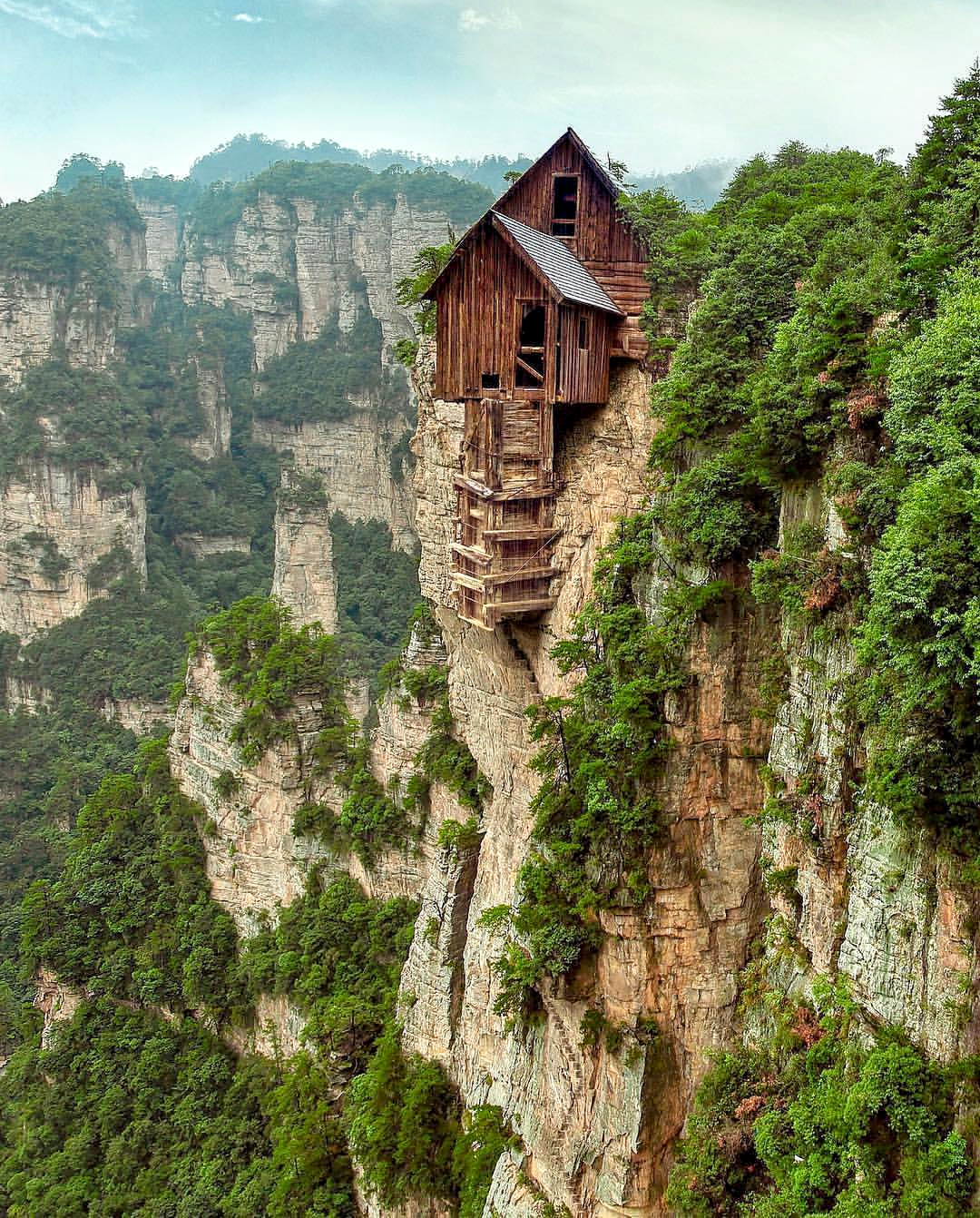 Quarantine+of+the+gods.