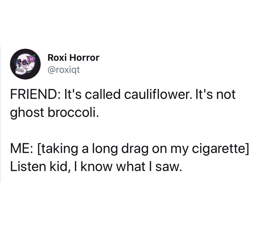 When+Bunnicula+attacks%26%238230%3B