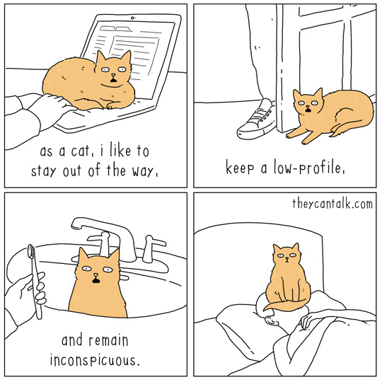 Inconspicuous+is+my+game%26%238230%3B+Pussay%26%238217%3Bs+my+name.