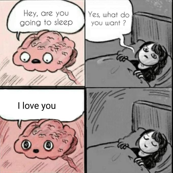 Good+night+pussycat.