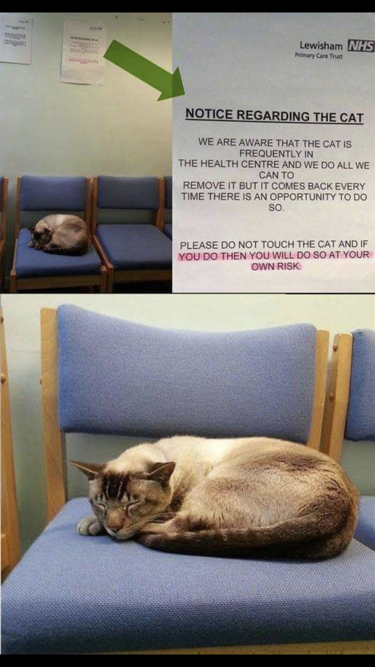 I%26%238217%3Bm+willing+to+take+the+risk