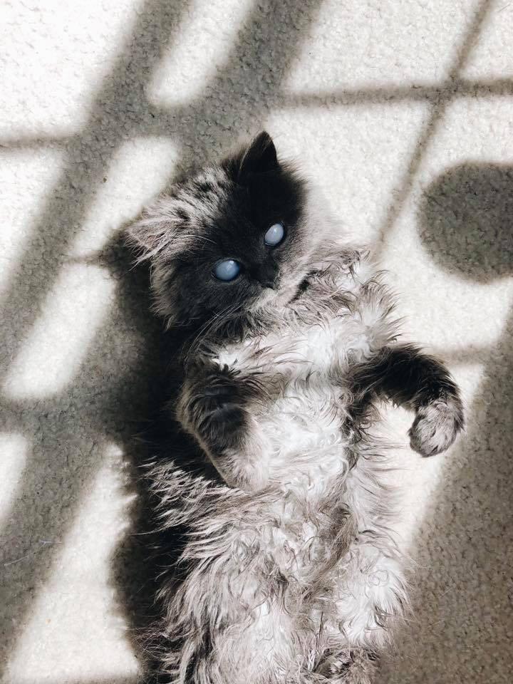 He%26%238217%3Bs+different%2C+but+how+would+he+know%3F