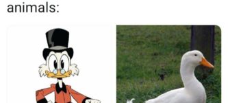 Ducktales+characters+if+they+were+animals