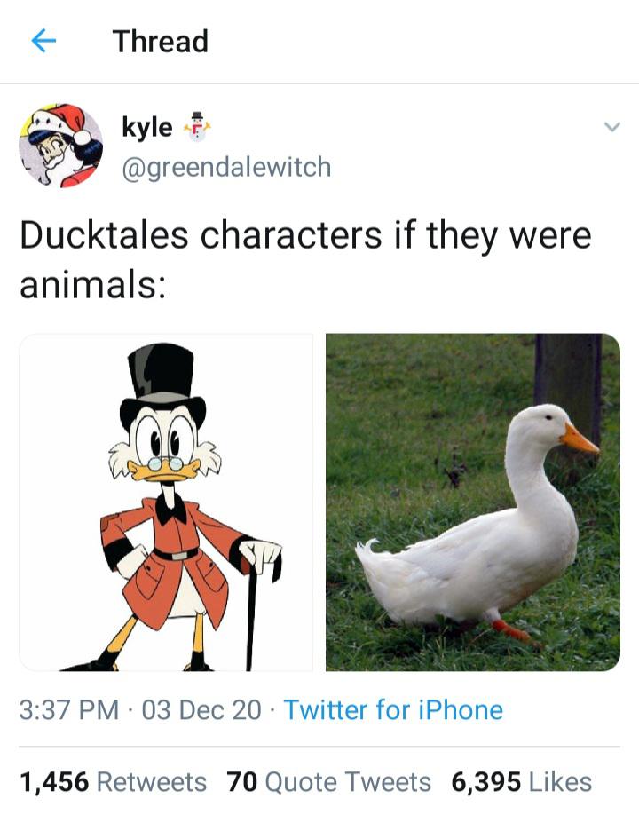 Ducktales+characters+if+they+were+animals