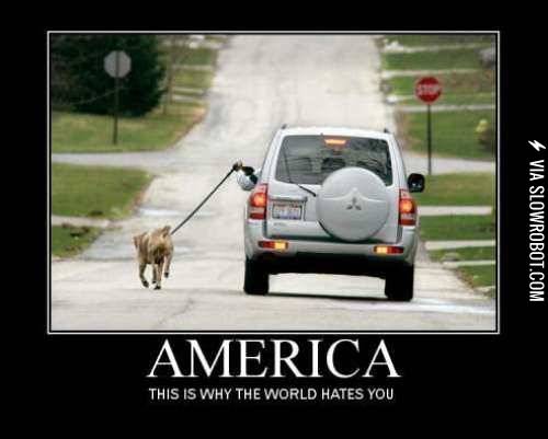 Meanwhile+in+america%26%238230%3B