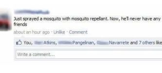 Mosquito+spray.