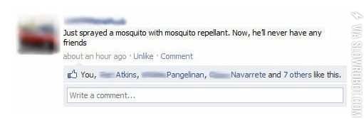 Mosquito+spray.