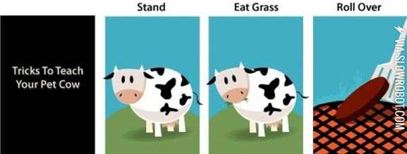 Tricks+to+teach+your+pet+cow.