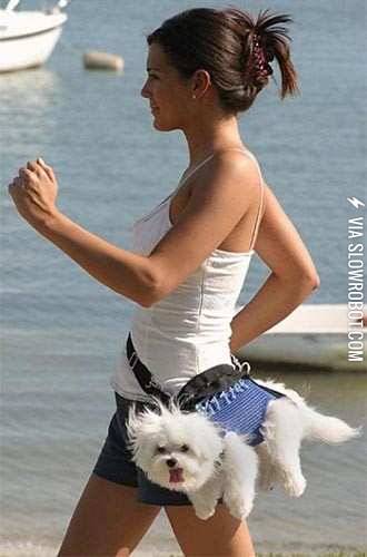 Fanny+pack+puppy+purse.