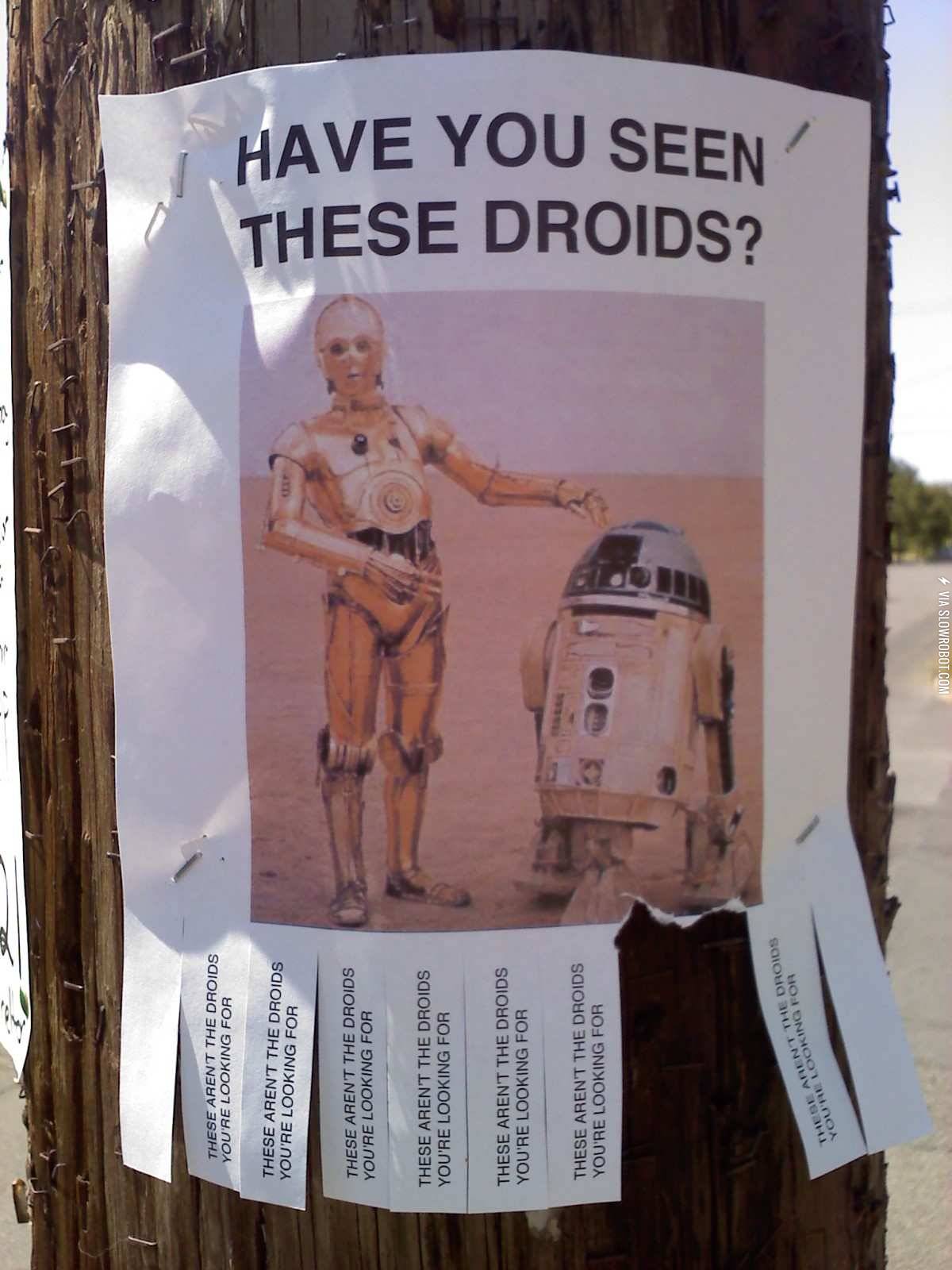 Have+you+seen+these+droids%3F