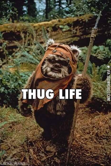 Thug+life.