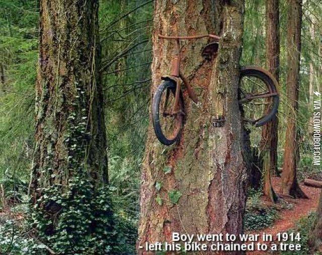 %26%238230%3B+and+never+came+home.