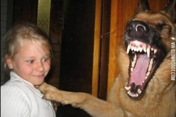 Oh+human%2C+you+so+silly.