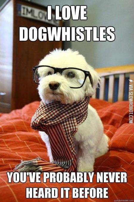 Hipster+dog.
