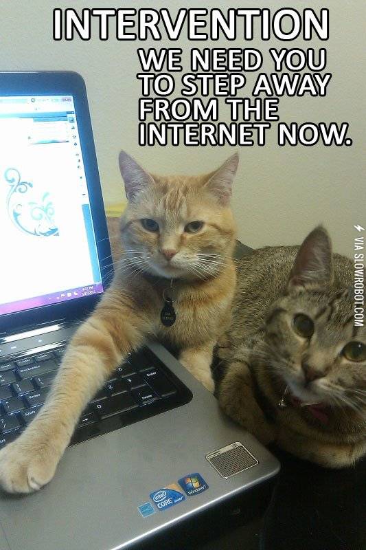 Internet+intervention.