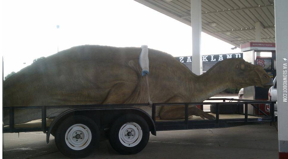 Little+kid%26%238217%3Bs+dream+come+true.