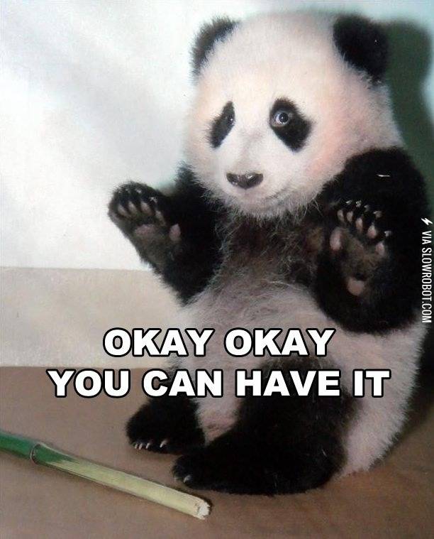 Cute+panda+is+cute.