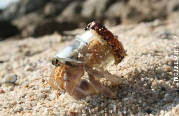 They+see+me+rollin.+They+hatin.