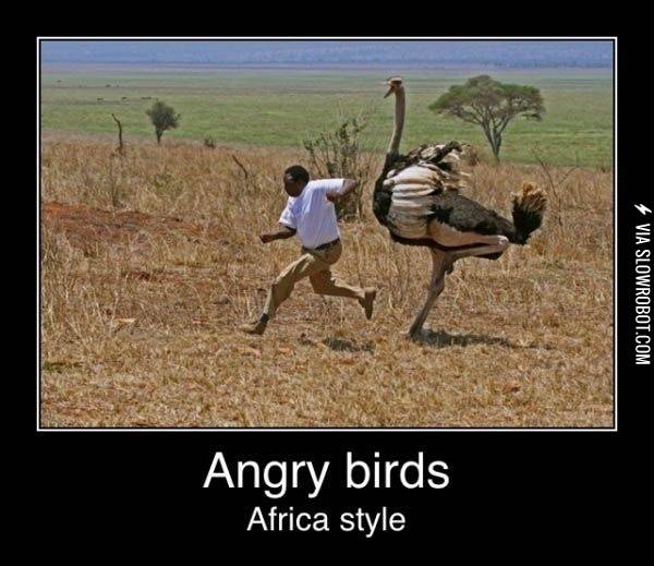 Angry+Birds%2C+Africa.