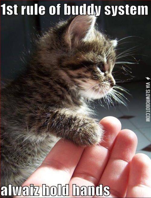 1st+rule+of+buddy+system%3F