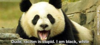 Racism+is+stupid%26%238230%3B