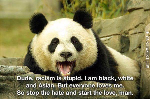 Racism+is+stupid%26%238230%3B