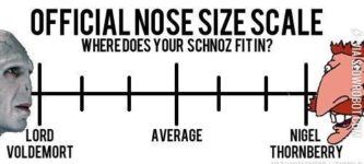Where+does+your+schnoz+fit+in%3F