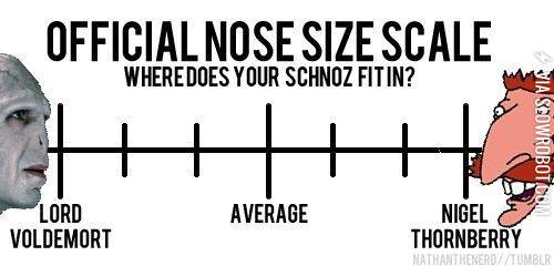 Where+does+your+schnoz+fit+in%3F