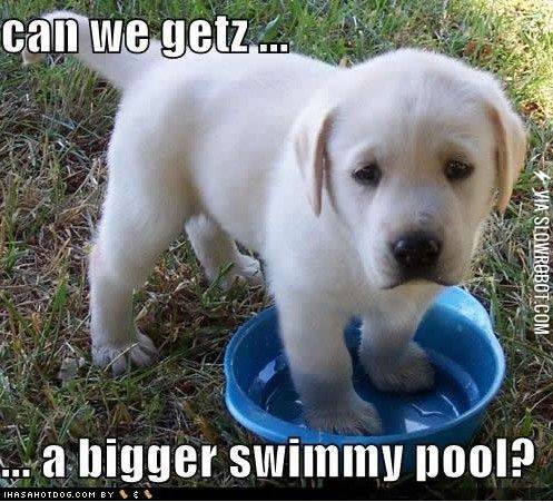 Can+we+getz+a+bigger+swimmy+pool%3F