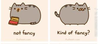 Pusheen%26%238217%3Bs+guide+to+being+fancy.