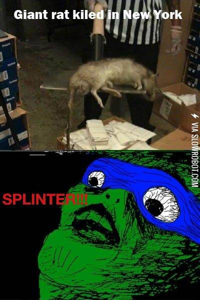 SPLINTER%21%21%21