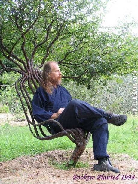 Tree+chair.