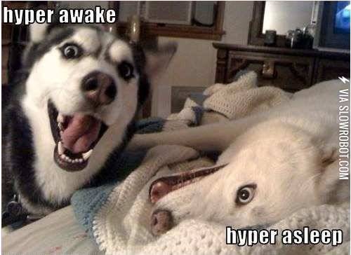 Hyper+awake%2C+hyper+asleep.