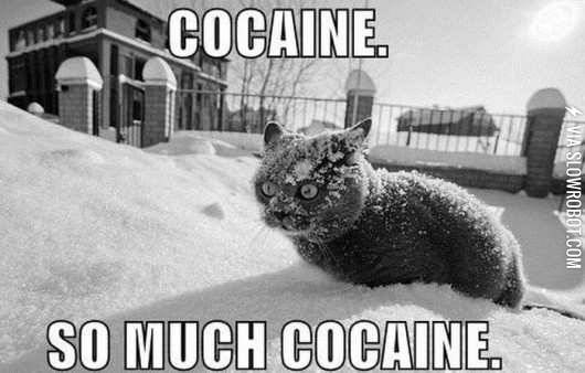 Cocaine.