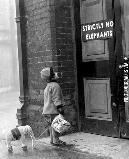 Strictly+no+elephants.