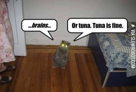 %26%238230%3Bbrains.