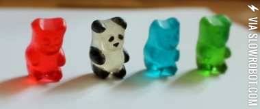 Gummy+panda.