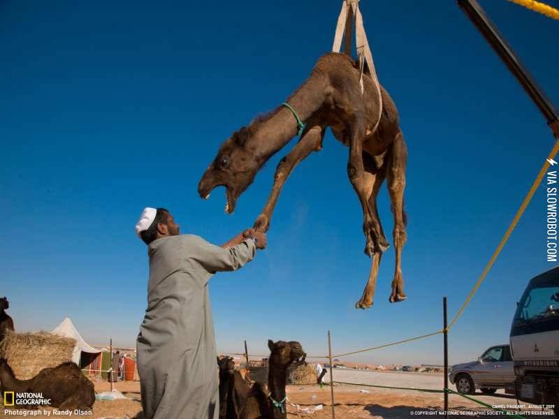 %26%238230%3Bbut+I+wuv+you.