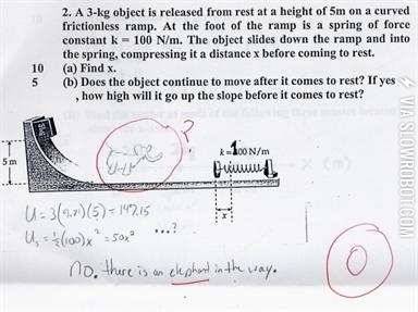 No.+There%26%238217%3Bs+an+elephant+in+the+way.